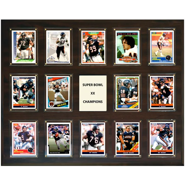 Lids Mike Singletary Chicago Bears Fanatics Authentic Framed 15 x