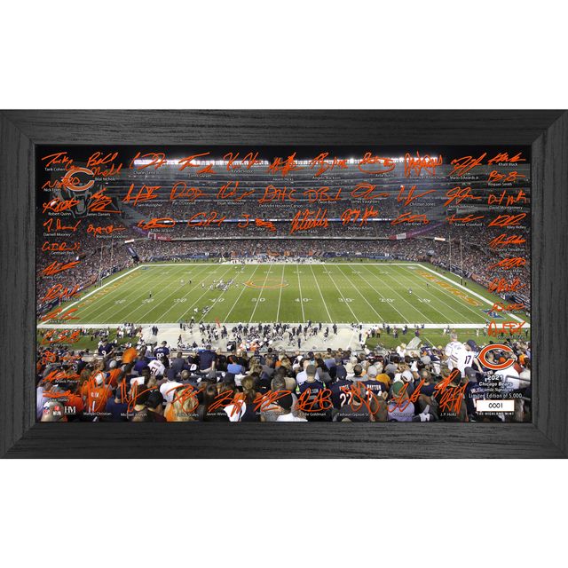 Chicago Bears Highland Mint 13 x 16 Stadium Bronze Coin Photo