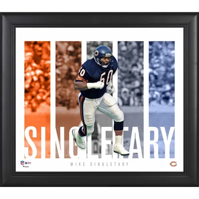 Fanatics Authentic Chicago Bears Framed 15 x 17 2018 NFC North Division Champions Collage