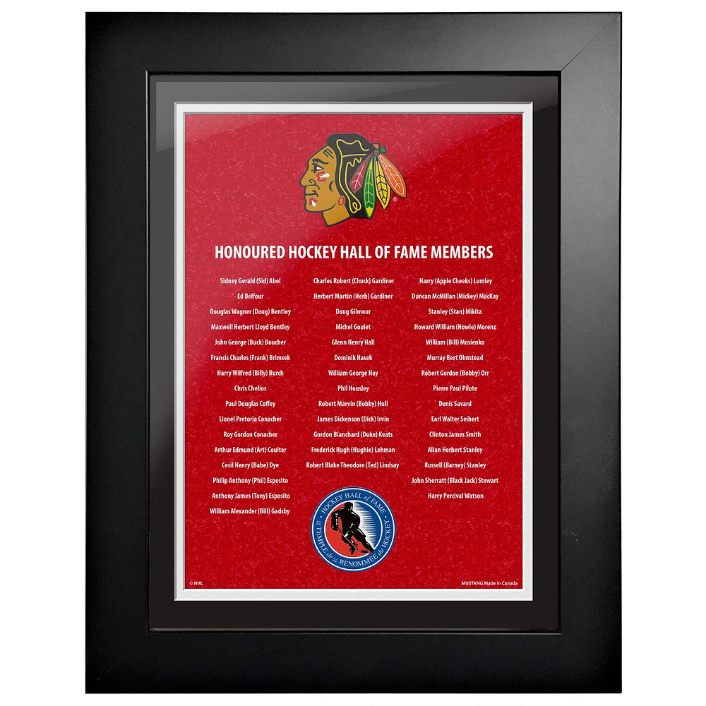 Blackhawks de Chicago - 12'' x 16'' Hockey Hall of Fame membres honorés photo encadrée