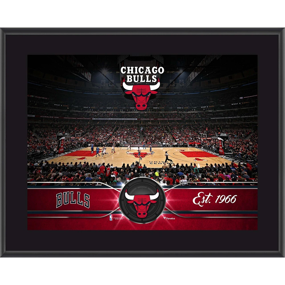 Plaque d'équipe sublimée Chicago Bulls 10,5" x 13"