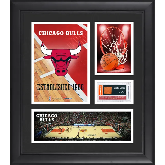Chicago Bulls Fanatics Authentic Black Framed Team Logo Jersey