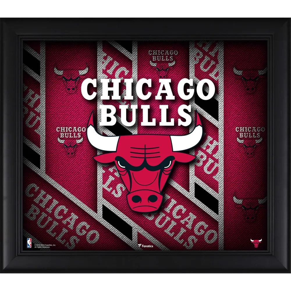 Chicago Bulls Fanatics Authentic Black Framed Team Logo Jersey Display Case