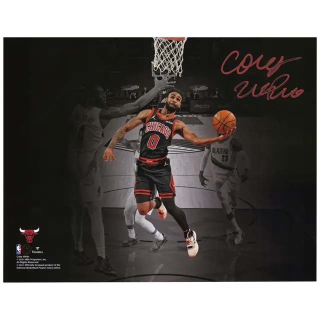 Autographed Chicago Bulls Dennis Rodman Fanatics Authentic Black