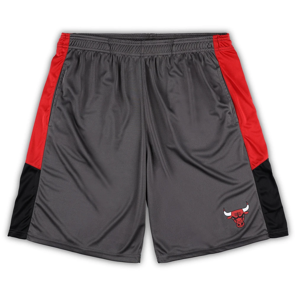 Short fanatiques gris Chicago Bulls pour hommes, grandes et