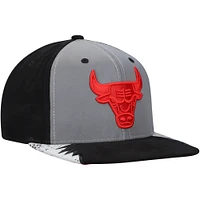 Men's Mitchell & Ness Silver/Gray Chicago Bulls Day 5 Snapback Hat