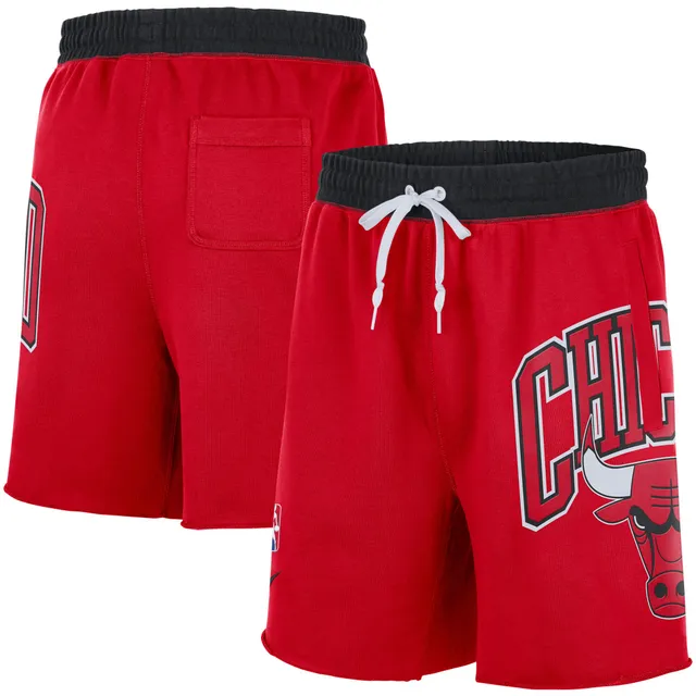 Lids Chicago Bulls Fanatics Branded Big & Tall Graphic Shorts