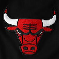 Men's Pro Standard Black Chicago Bulls Chenille Shorts