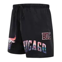 Men's Pro Standard Black Chicago Bulls City Scape Mesh Shorts