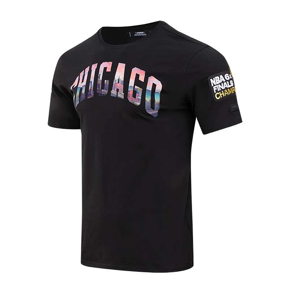 Men's Pro Standard Black Chicago Bulls City Scape T-Shirt