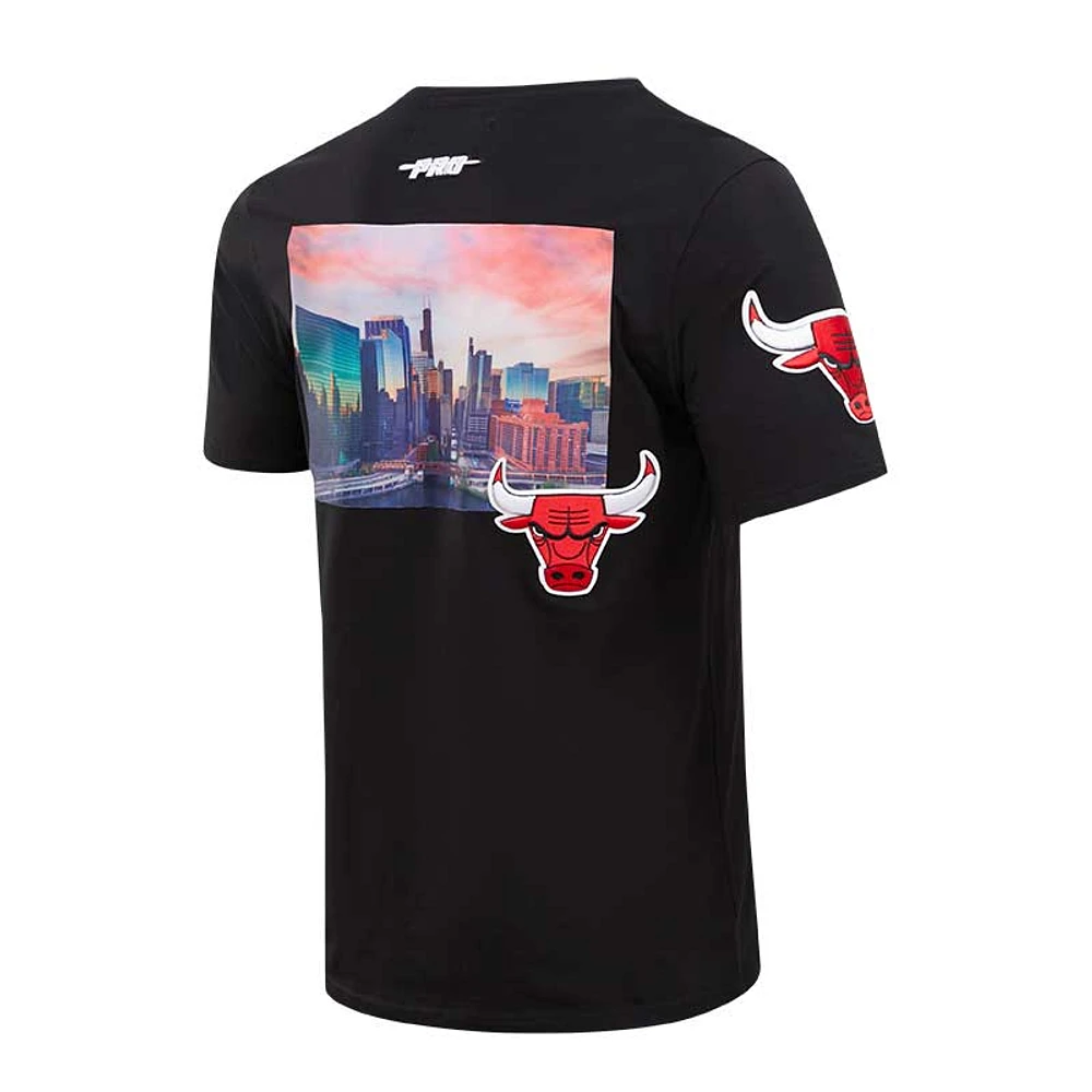 Men's Pro Standard Black Chicago Bulls City Scape T-Shirt