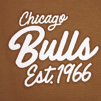 Sweat à capuche épaules tombantes Pro Standard Brown Chicago Bulls Paint the City pour homme