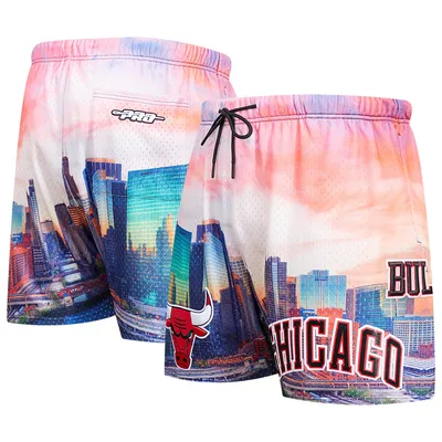 Chicago Bulls Pro Standard Cityscape Shorts