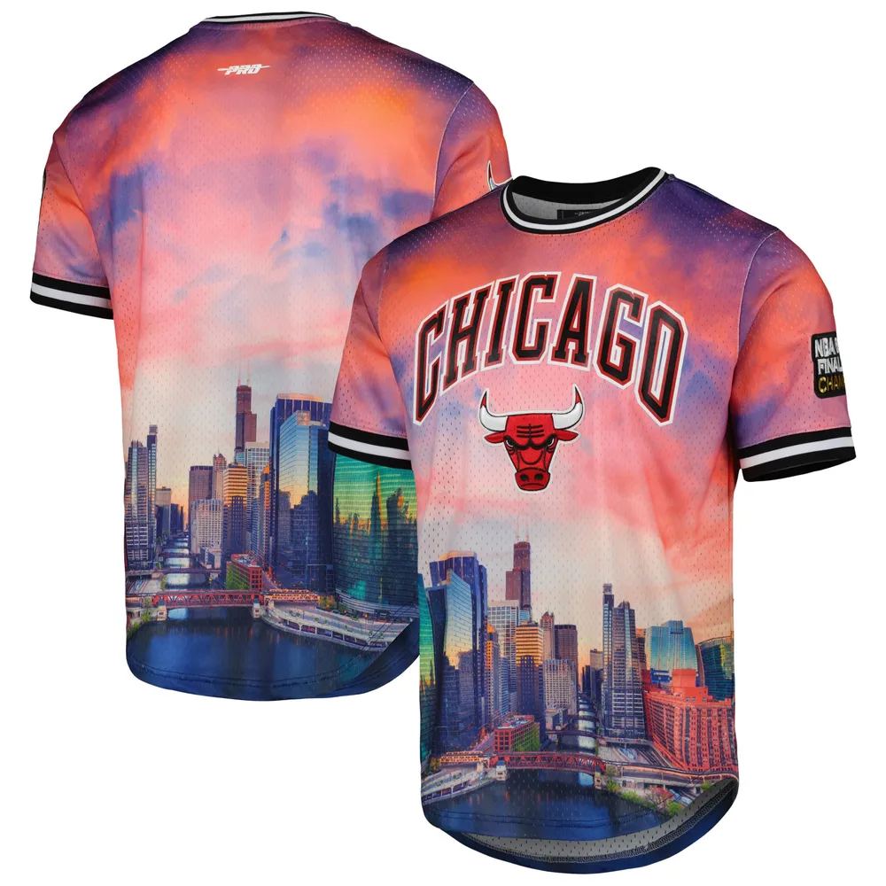 Lids Chicago Bulls Pro Standard Cityscape Stacked Logo T-Shirt