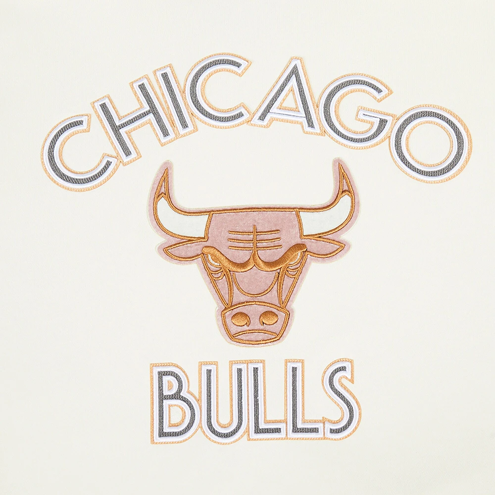 Men's Pro Standard Cream Chicago Bulls 2024/25 City Edition Pullover Hoodie