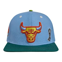 Men's Pro Standard Light Blue/Green Chicago Bulls Retro Program 2-Tone Snapback Hat