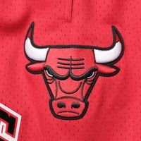 Men's Pro Standard Red Chicago Bulls Mesh Capsule Shorts