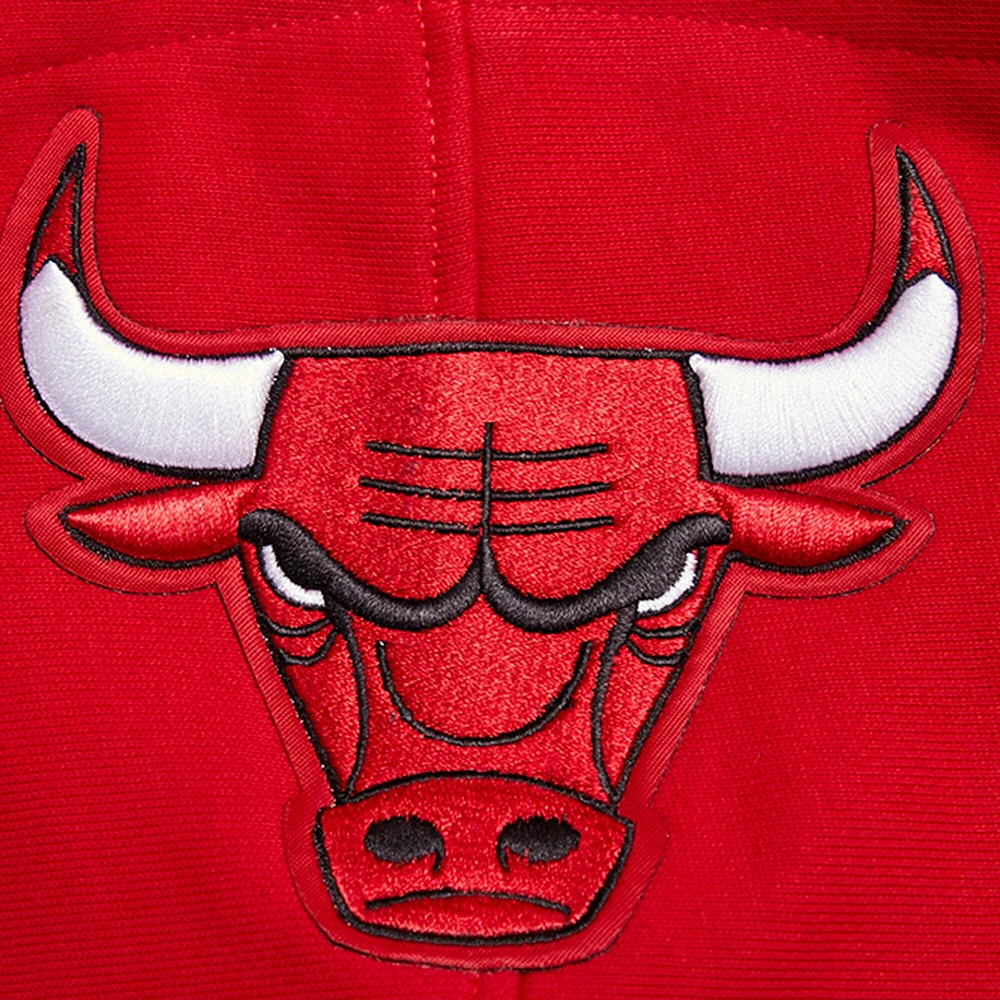 Sweat à capuche Pro Standard rouge Chicago Bulls Script Tail pour hommes