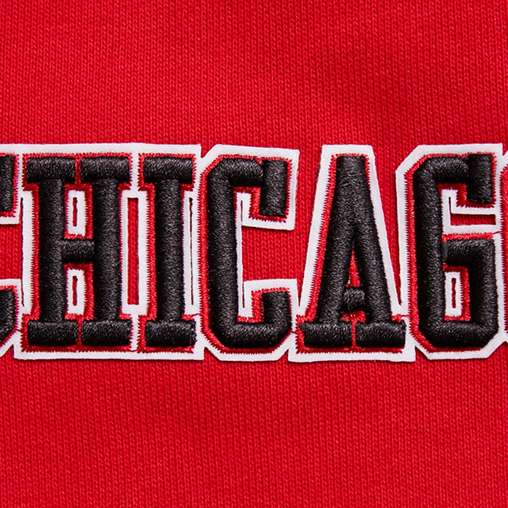 Sweat à capuche Pro Standard rouge Chicago Bulls Script Tail pour hommes