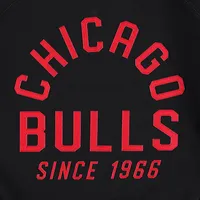 Women's Sportiqe Chicago Bulls Ashlyn Brava Raglan Pullover Sweatshirt