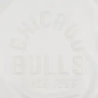 Chandail à enfiler raglan Sportiqe Chicago Bulls Ashlyn Brava pour femme, crème