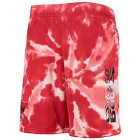 Youth Red Chicago Bulls Santa Monica Tie-Dye Shorts