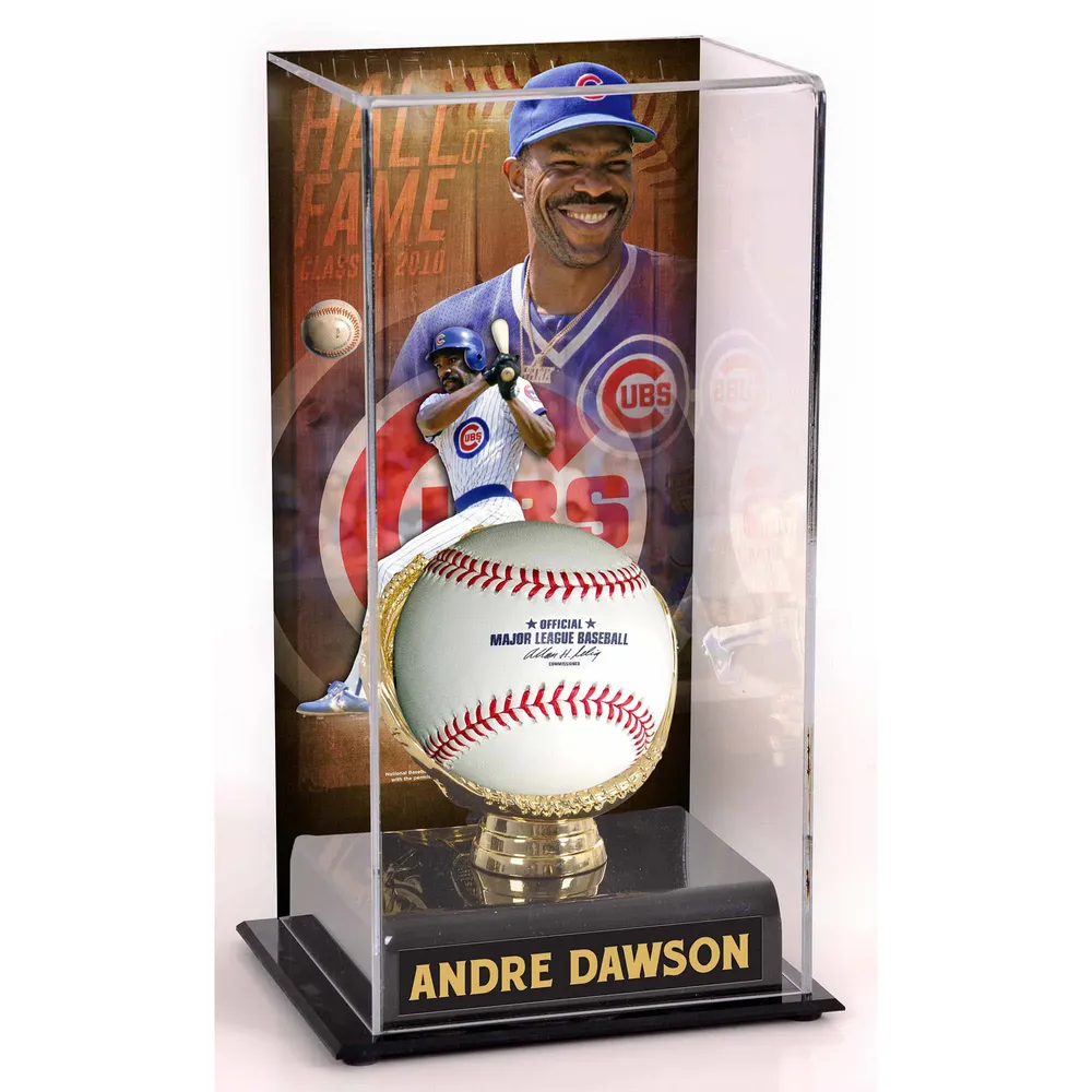 Andre Dawson Autographed Stat Official Black Baseball