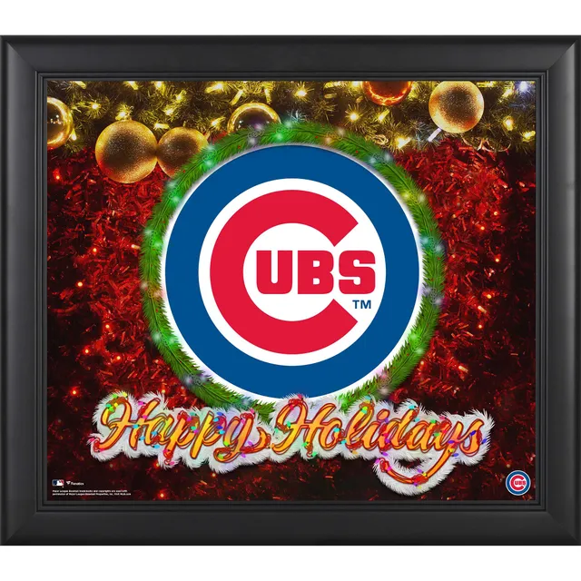 Chicago Cubs Unsigned 2016 World Series Celebration Photograph