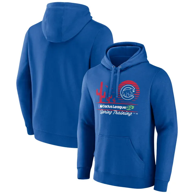 Chicago Cubs 2022 Spring Training shirt, hoodie, sweater, long