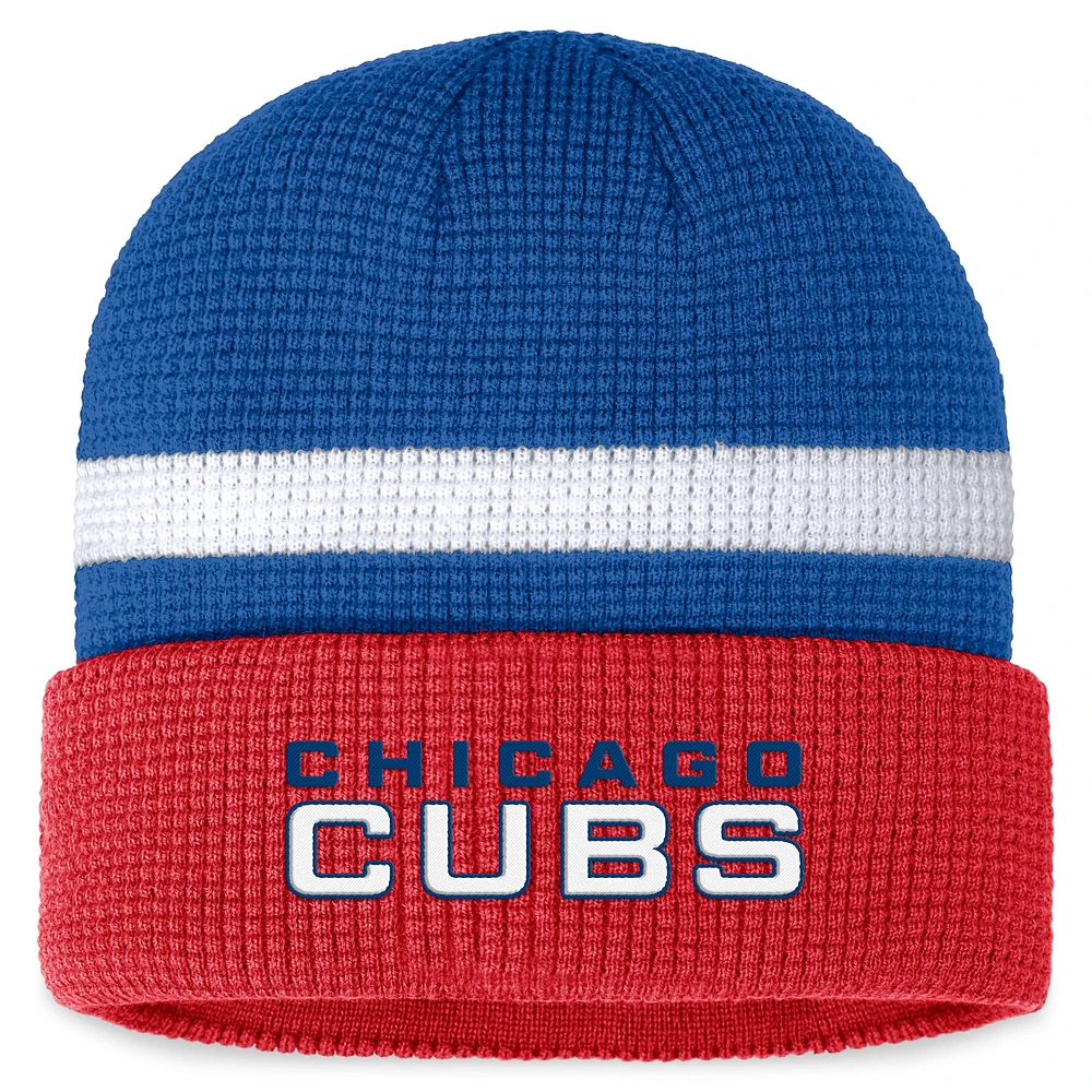 Bonnet en tricot à revers gaufré Fanatics Royal Chicago Cubs pour hommes