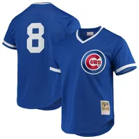 Autographed Chicago Cubs Andre Dawson Fanatics Authentic White Mitchell &  Ness Authentic Jersey