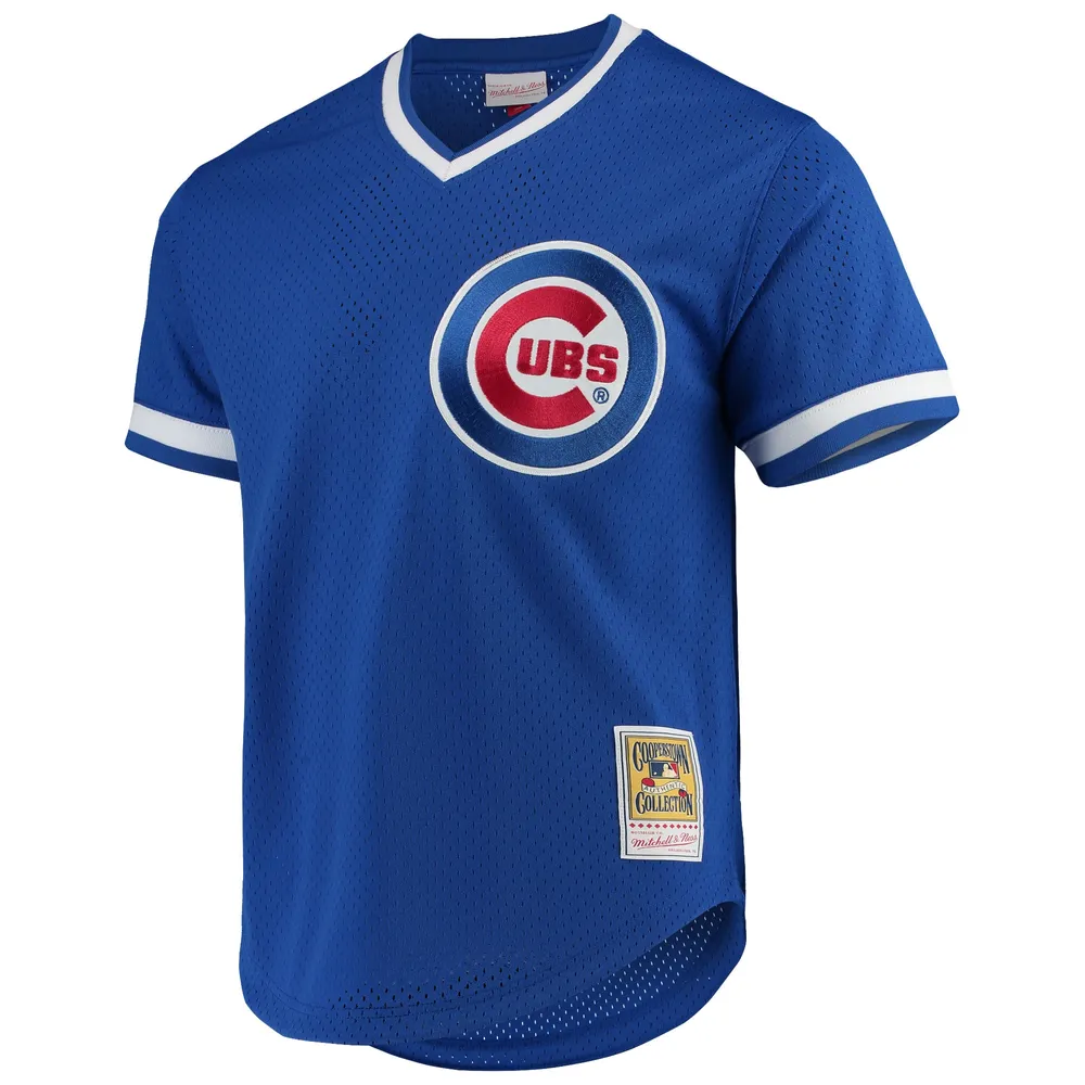 Men's Mitchell & Ness Andre Dawson Royal Chicago Cubs Cooperstown Collection Mesh Batting Practice Jersey