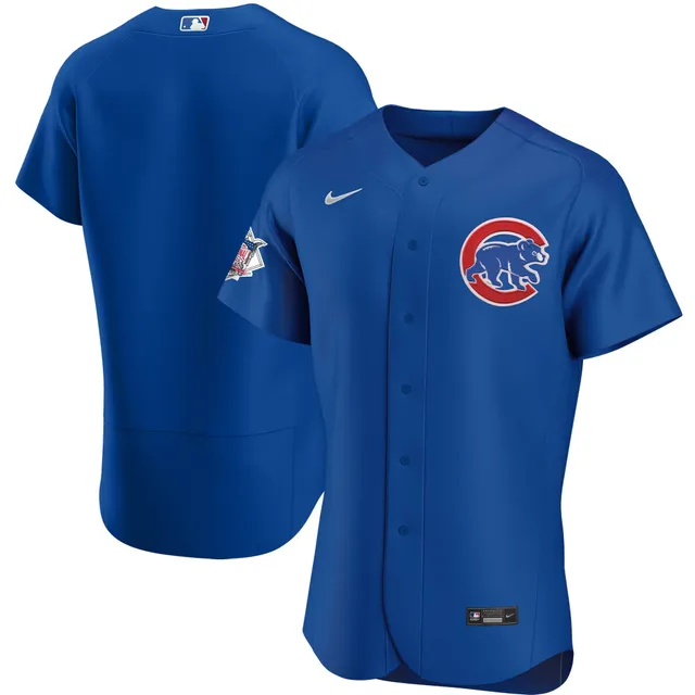 Lids Chicago Cubs Nike Road Authentic Team Jersey - Gray