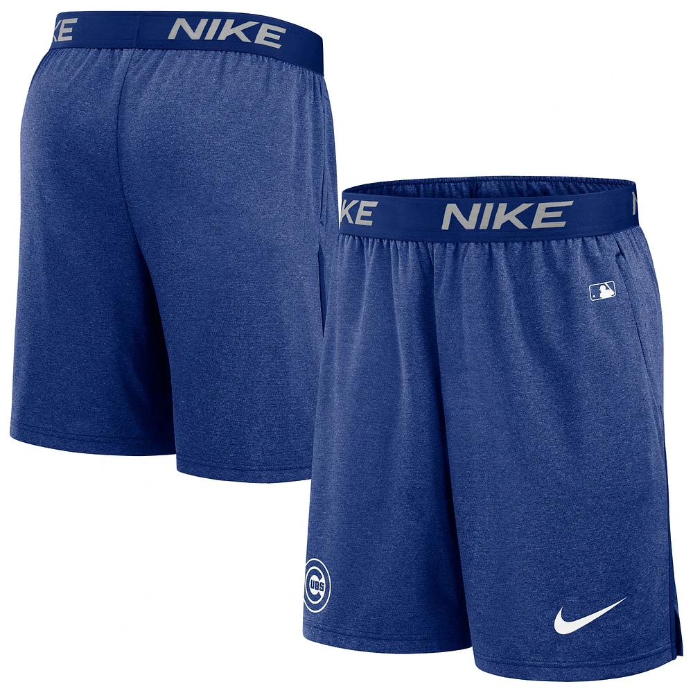 Short d'entraînement Nike Royal Chicago Cubs Authentic Collection pour homme