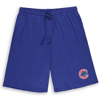 Men's Profile Chicago Cubs Big & Tall T-Shirt Shorts Combo Set