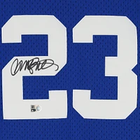 Ryne Sandberg Royal Chicago Cubs Autographed Mitchell & Ness Replica Jersey
