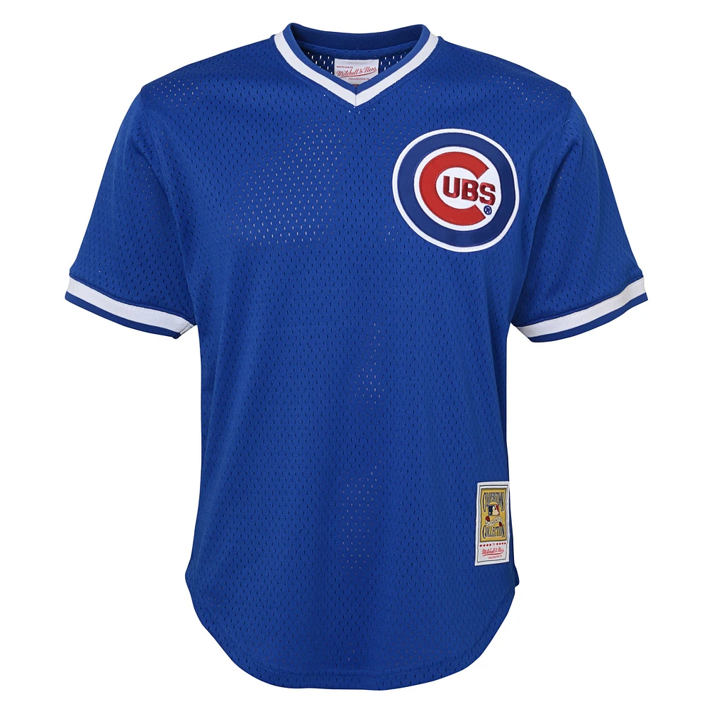 Maillot d'entraînement au bâton en maille pour jeunes Mitchell & Ness Ryne Sandberg Royal Chicago Cubs Cooperstown Collection