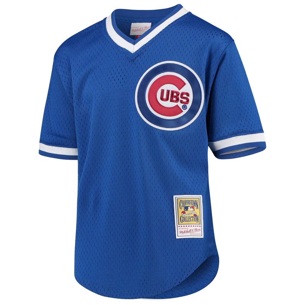 Youth Mitchell & Ness Ryne Sandberg Royal Chicago Cubs Cooperstown  Collection Mesh Batting Practice Jersey