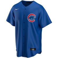 Youth Nike Royal Chicago Cubs Alternate Replica Team - Jersey