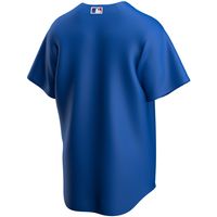 Youth Nike Royal Chicago Cubs Alternate Replica Team - Jersey