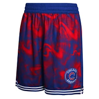 Youth Royal/Red Chicago Cubs Outfielder Shorts