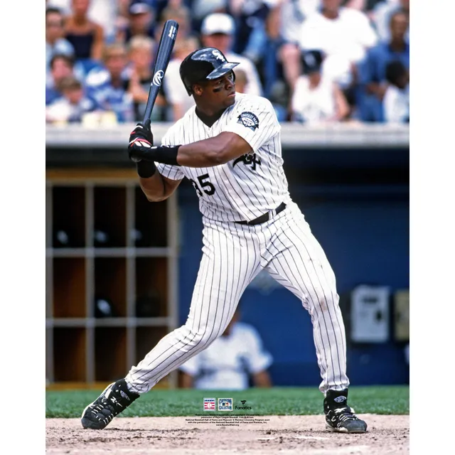 Frank Thomas Chicago White Sox Fanatics Authentic Framed 15 x 17 Hall of  Fame Career Profile