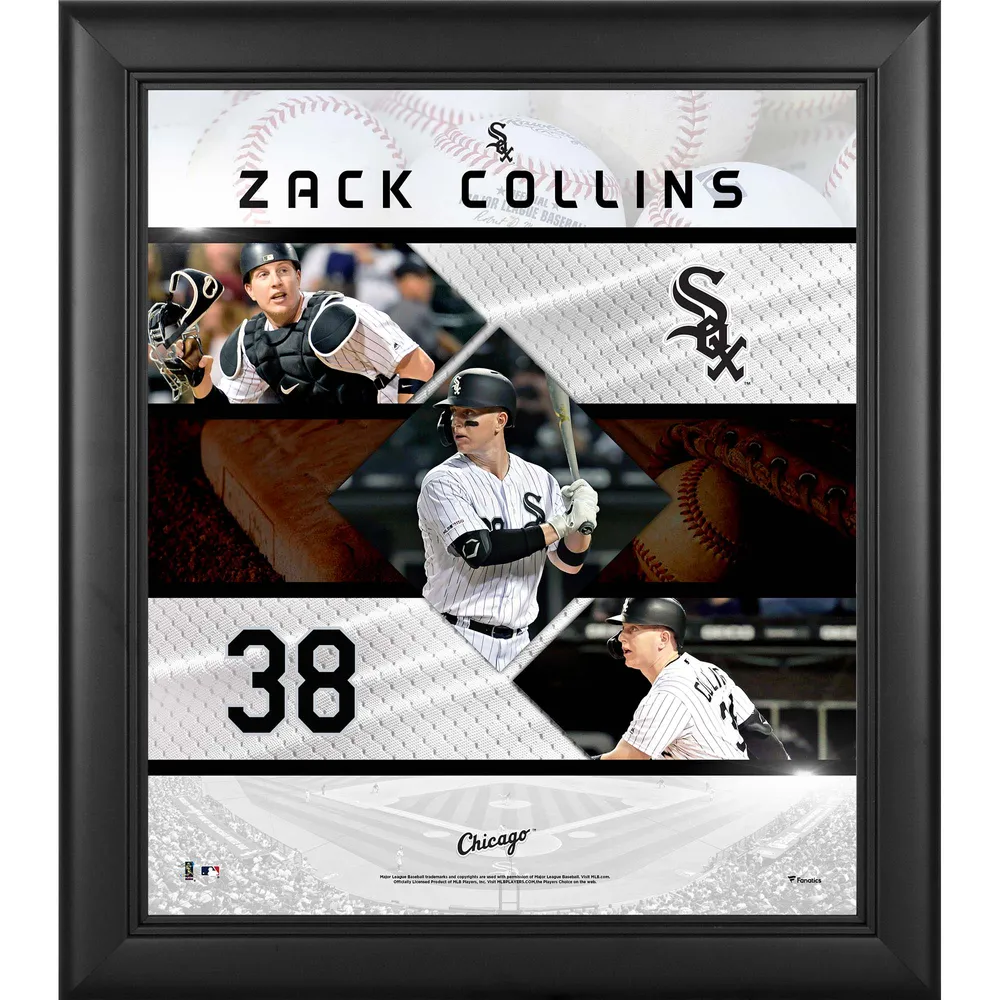 Chicago White Sox Fanatics Authentic Framed 15 x 17 Team