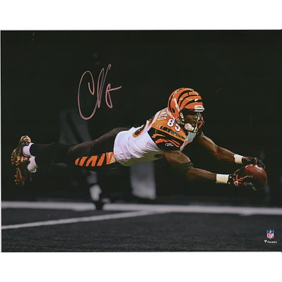 Photographie autographiée de 11"x 14" de Chad Johnson, Cincinnati Bengals, sur le thème de la plongée