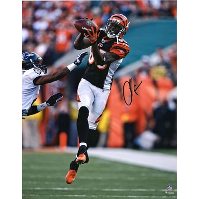 Photographie autographiée de Chad Johnson des Bengals de Cincinnati en train de faire une prise avec un maillot noir de 16" x 20"