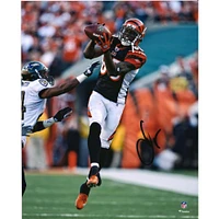 Photographie autographiée de Chad Johnson, maillot noir des Bengals de Cincinnati, 8" x 10"