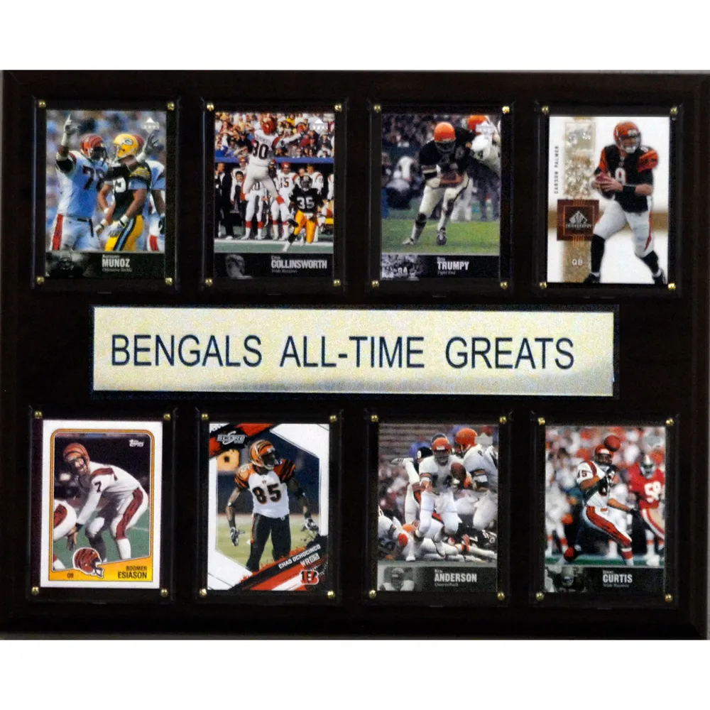 all bengals com