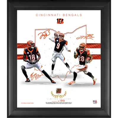 Lids Cleveland Browns Fanatics Authentic Framed 15 x 17 Team