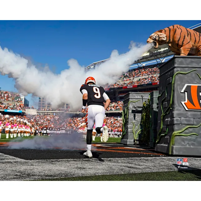 Lids Joe Burrow Cincinnati Bengals Fanatics Authentic Unsigned Super Bowl  LVI Dropping Back To Pass Photograph