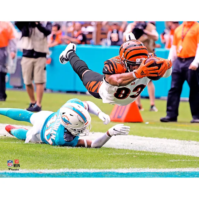 Cincinnati Bengals Unsigned White-Out Stadium Photograph